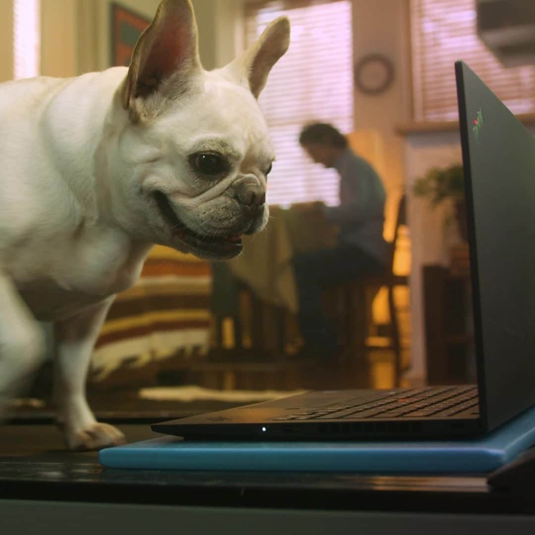 Lenovoのインスタグラム