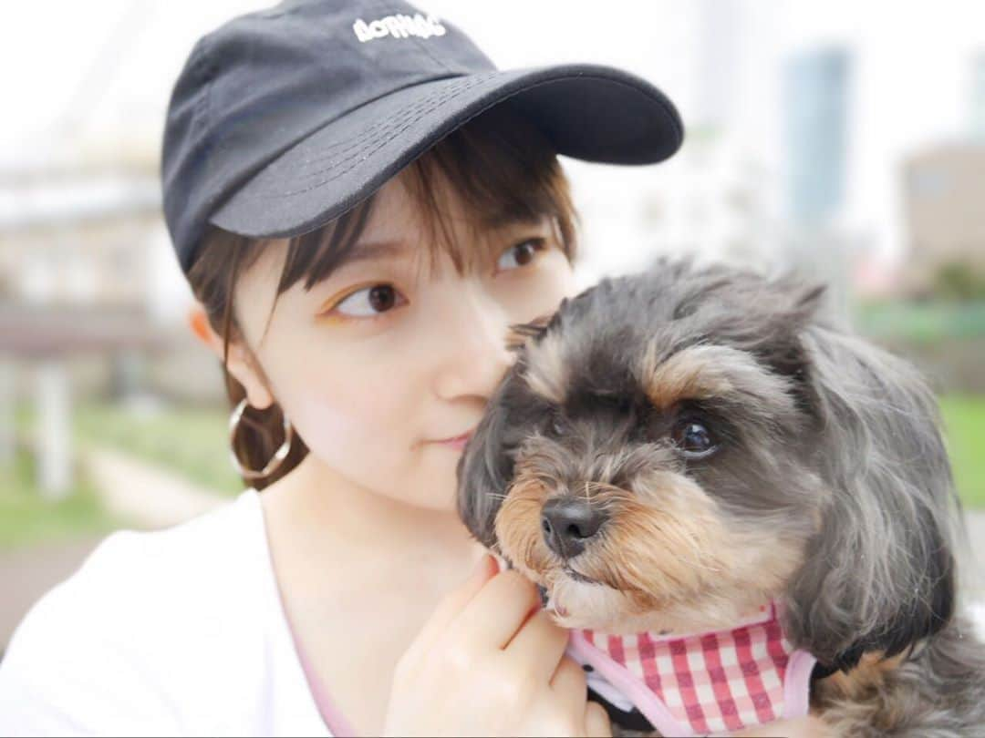 森戸知沙希さんのインスタグラム写真 - (森戸知沙希Instagram)「. . 🐶💗💗 . #morningmusume20  #モーニング娘20  #森戸知沙希  #愛犬ぽんちゃん #ぽんすタグラム🐶#トリミング前でボサボサ #笑笑 #アイシャドウ #黄色」5月27日 22時17分 - chisaki__morito.official