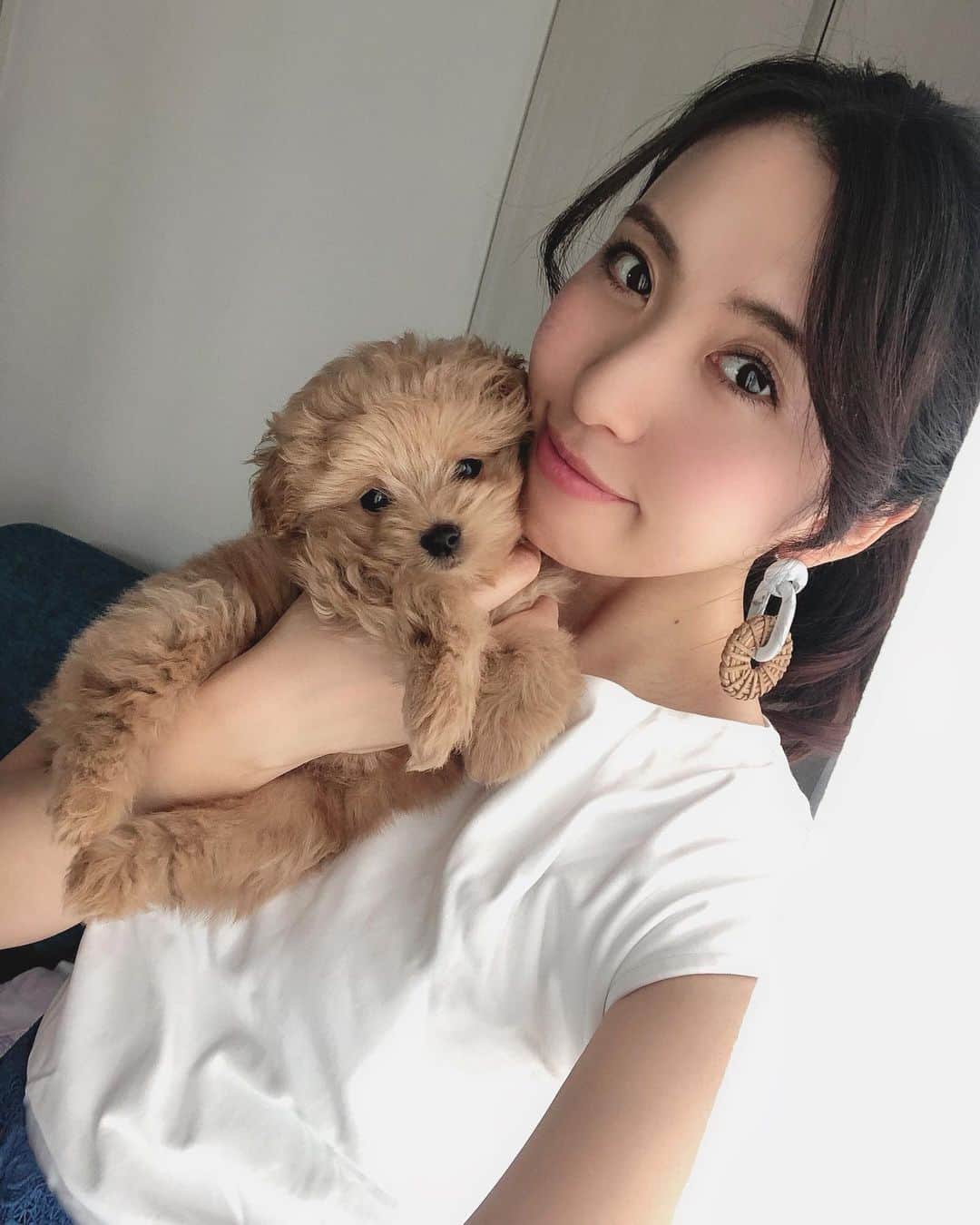 のインスタグラム：「ベルたん今日で 生まれて3ヶ月🐶❤️ 1枚目、2枚目の写真は5月はじめに撮ったのだけど この写真よりもおっきくなりました😊 最近は毛が伸びすぎて目が毛で隠れる😂💦 ワクチンとか終わったらトリミングすぐ行きたいね☺️ 今日はベルたんに子犬も食べれるバナナマフィンを作りました💕 はじめてのおやつは手作りのが安心☺️❤️ 3日持つみたいなので一緒に少しずつ食べようね☺️💕 ・ #ベルたんの成長記録 #ベルたん #ベルスタグラム #べるすたぐらむ #ベルたんとの生活 #トイプーとポメラニアンのmix #ハーフ犬 #ポメプー #ポメプー部 #テディベア犬 #いぬばか部 #いぬすたぐらむ #犬バカ部 #犬バカ部ふわもこ部 #ふわもこ部 #犬のいる暮らし #犬好きな人と繋がりたい #犬のいる生活 #おうち時間 #愛犬 #愛犬との暮らし #うちの子一番 #わんこ部 #仔犬 #ilovedogs🐶❤️ #おっきくなりました #パピー期 #生後3ヶ月 #はじめてのおやつ #わんこ手作りおやつ」