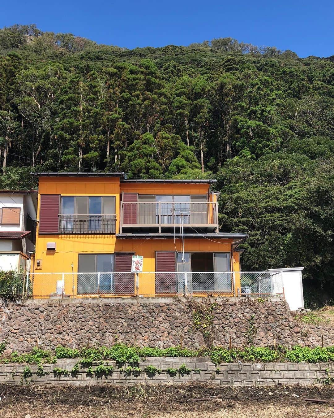 小堺大輔さんのインスタグラム写真 - (小堺大輔Instagram)「遂にKAMOGAWA BEACH HOUSEの外装塗装工事が完了し、大規模な工事はこれにて終了しました。  海一望ですが、裏が山の際に建つ家なので虫との戦いもあるんですが（やばいサイズのクモとかでる涙）、全ての隙間工事も徹底的にやり、遂に虫が入らない家になりましたーー！ いや〜、これはでかい。 これであのボロボロだった民家が最高なBEACH HOUSEに生まれ変わりました。  俺のこだわりに付き合ってくれた小堺工務店のスタッフのみんな！ 本当にありがとう！ @masakikumehara  @51.s.51  @yuji_kami  @taipe_e  @toshioo456  さて、今週は自粛もいよいよ解けたということで、仲間達が日替わりで遊びにきてくれてます。 こういう事がやりたかった！って毎日を過ごしてます。  東京からジャスト100km、時間にして1時ちょいでつく大自然。 都会の家ともう一つ自然を満喫出来るライフスタイルを持つ。  これからの時代とくに大事になってくる気がします。  まだまだ安くていい土地や物件は沢山あるので、是非みんなも自然にもうひと宅いかがですか？  お近くのにきた際は是非遊びに寄ってくださいね〜。 .  #beachhouse  #鴨川 #KAMOGAWABEACHHOUSE #WAWW #小堺工務店 #田舎暮らし #slowlife」5月28日 0時08分 - daisuke_kosakai