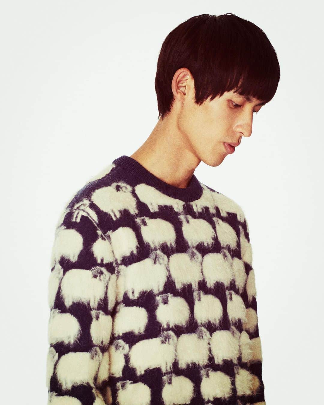 ランバンのインスタグラム：「Fuzzy sheep wool and cashmere jumper, from the #LanvinSS20 collection, available via link in bio. #Lanvin」