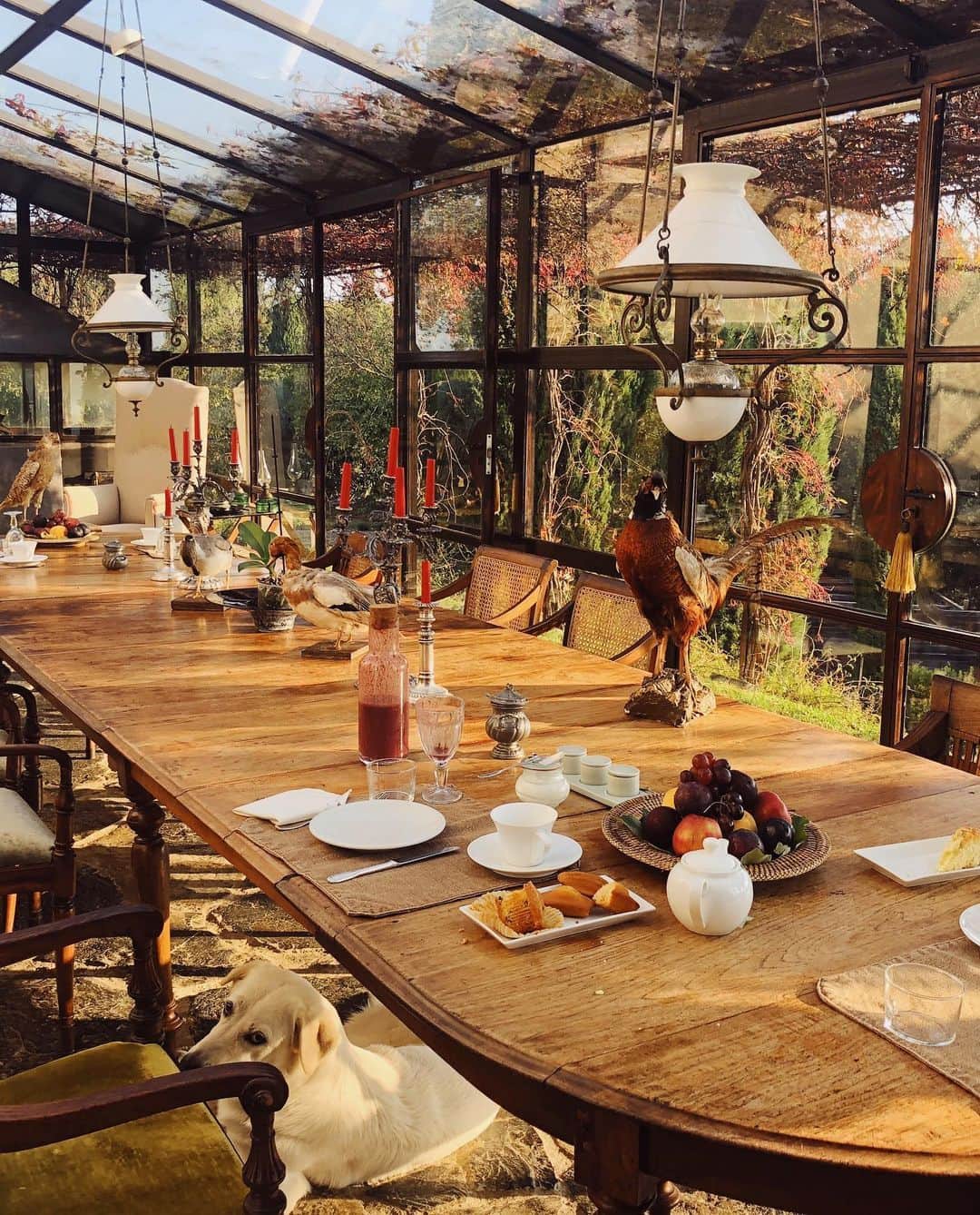 Hanneli Mustapartaさんのインスタグラム写真 - (Hanneli MustapartaInstagram)「I can’t wait to get to travel again and show Ferdinand our favorite places. Perhaps our first stop will be beautiful Florence and Tuscany. Until then, revisiting memories from a dreamy breakfast and tea by a pool will be nearly as good🌍」5月28日 2時16分 - hannelim