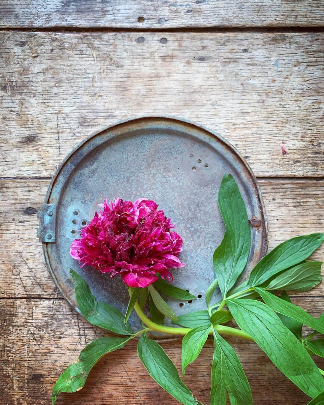Tea and sittingのインスタグラム：「🌿...Diptych of today...🌿」