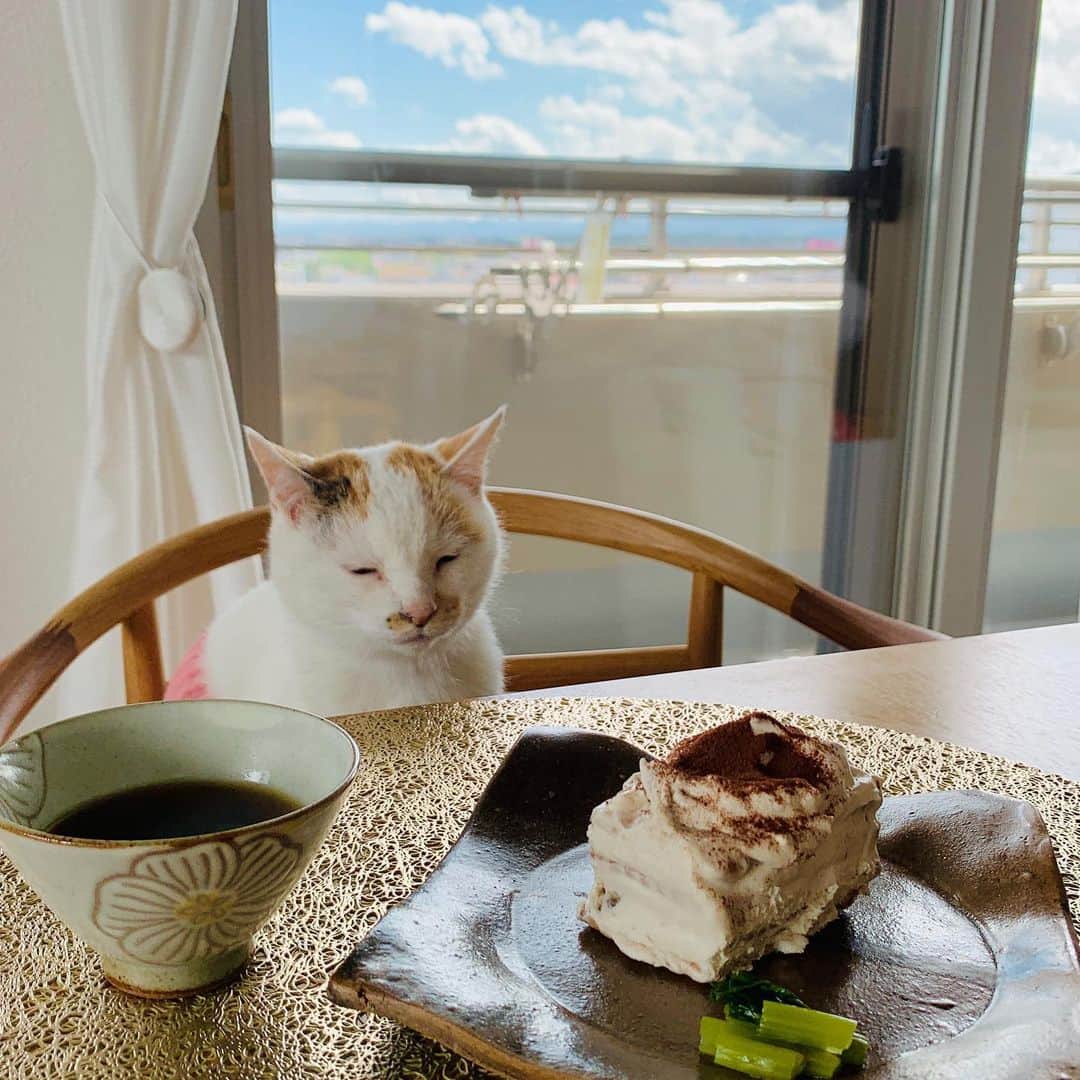 マルのインスタグラム