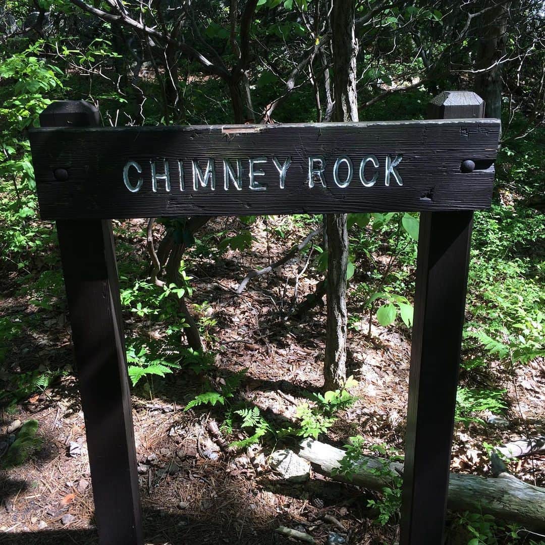 ラリー・ギリアード・Jrさんのインスタグラム写真 - (ラリー・ギリアード・JrInstagram)「Went on a social distancing hike with @jadon_gilliard to Catoctin Mountain Park. Saw some creepy crawly things and peered over the Chimney Rocks! Amazing view! @catoctinnps #cityboyinnature❤️ #socialdistancing #chimnyrock #2020」5月28日 12時14分 - thereallgjr
