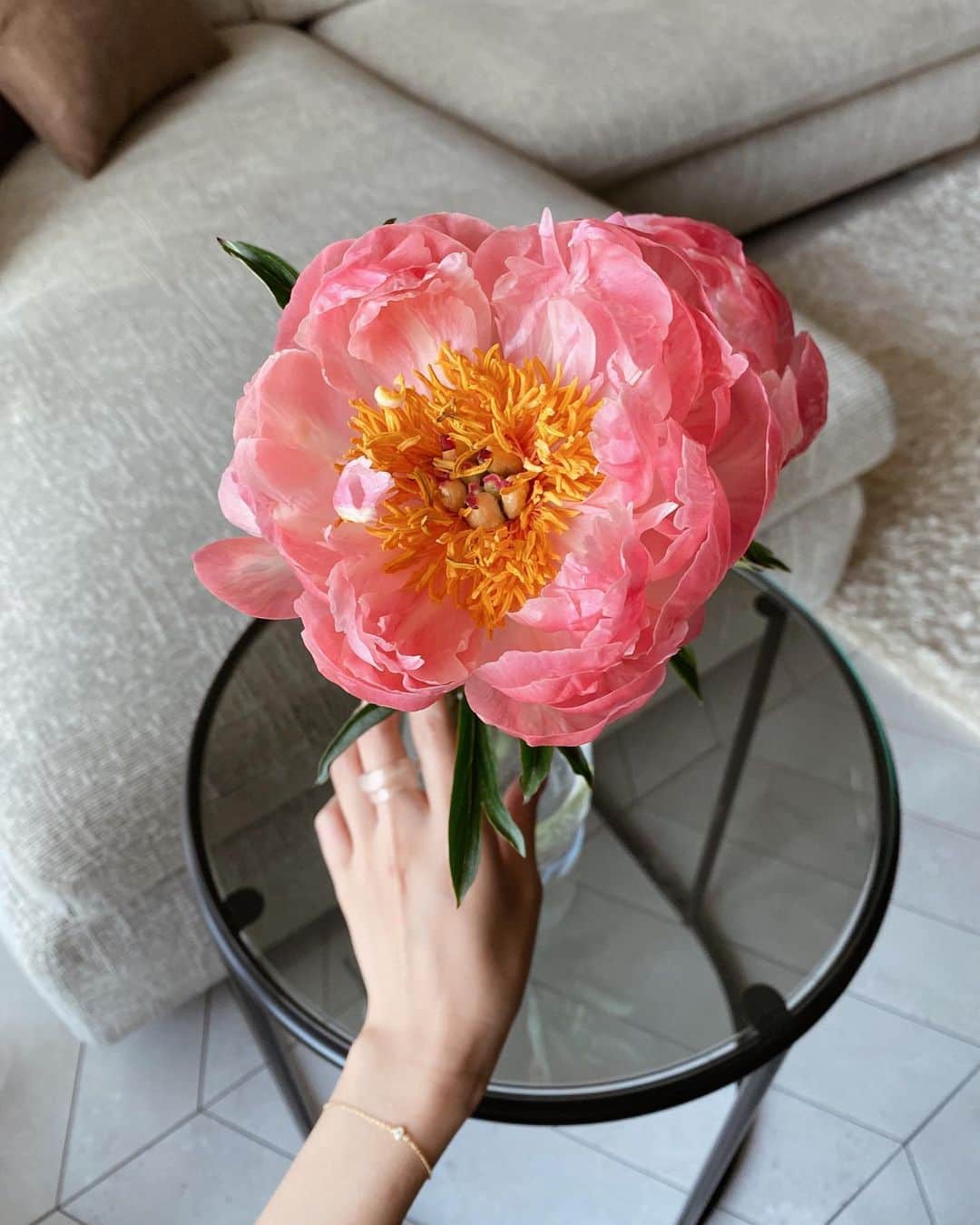 山賀琴子さんのインスタグラム写真 - (山賀琴子Instagram)「立てば芍薬、座れば牡丹、歩く姿は百合の花  ピンクの芍薬は可憐で美しい✨ #花のある暮らし」5月28日 12時30分 - kotokoyamaga