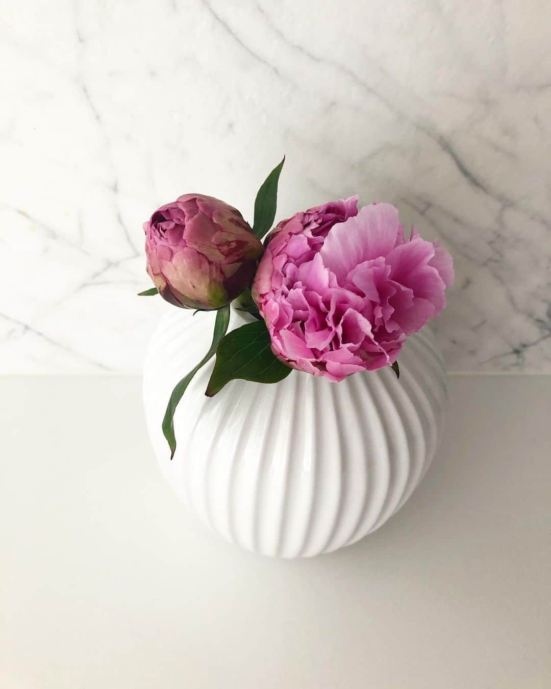 吉原珠央さんのインスタグラム写真 - (吉原珠央Instagram)「芍薬♫ 咲き始めると、あっという間なので常にちらりと見ています^_^ 小さな蕾の中には収まり切れないくらいに大きく花びらが広がるのは、まるでマジックのよう！  #芍薬 #ピンク #淡いピンク #お花のある暮らし  #蕾 #マジック」5月28日 12時57分 - tamaoyoshihara