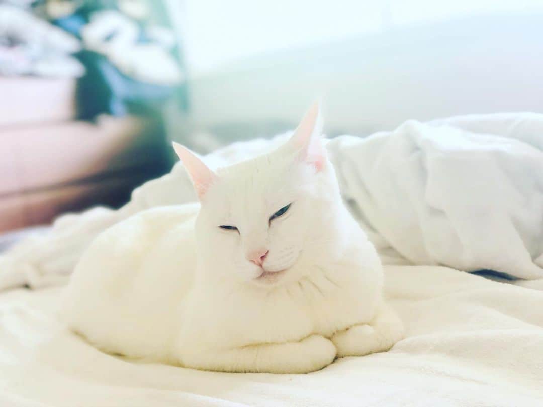 omomuroniのインスタグラム