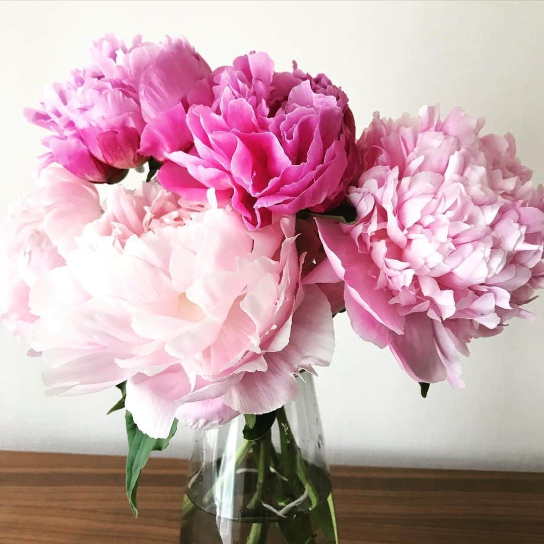 Marisolさんのインスタグラム写真 - (MarisolInstagram)「ステイホーム中に普段よりも、お花を家で楽しむ方も多かったのではないでしょうか。固かったつぼみが無事に開いて、芍薬もそろそろ終盤。あともう少し美しい花の色を楽しみたいです。#flowers #芍薬 #peony #marisol #stayhome #おうちmarisol」5月28日 13時00分 - marisolmagazine