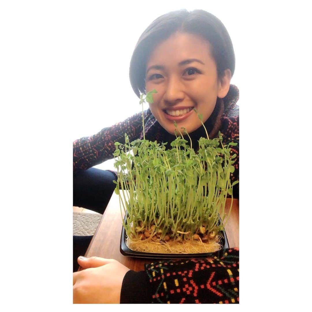 のインスタグラム：「[2/2] GQ Japan “7, 8, & 9 / 2020” 👀👀👀 issue. A MESSAGE OF HOPE. You can call me “the GQ debutante along with pea sprouts”...🌱 . 今の時代を象徴する自撮りを送れと言われてちゃんと送った四月の自分を褒めてあげたいんですけど、まぁ完成誌面からは浮きまくってましたよね……こんにちはGQに豆苗を載せた女です。 . —————— @gqjapan #gqjapan #gqmagazine #ikuokada #岡田育 #amessageofhope #緊急事態宣言 #selfquarantined #lockdownselfie #japanesemagazine」