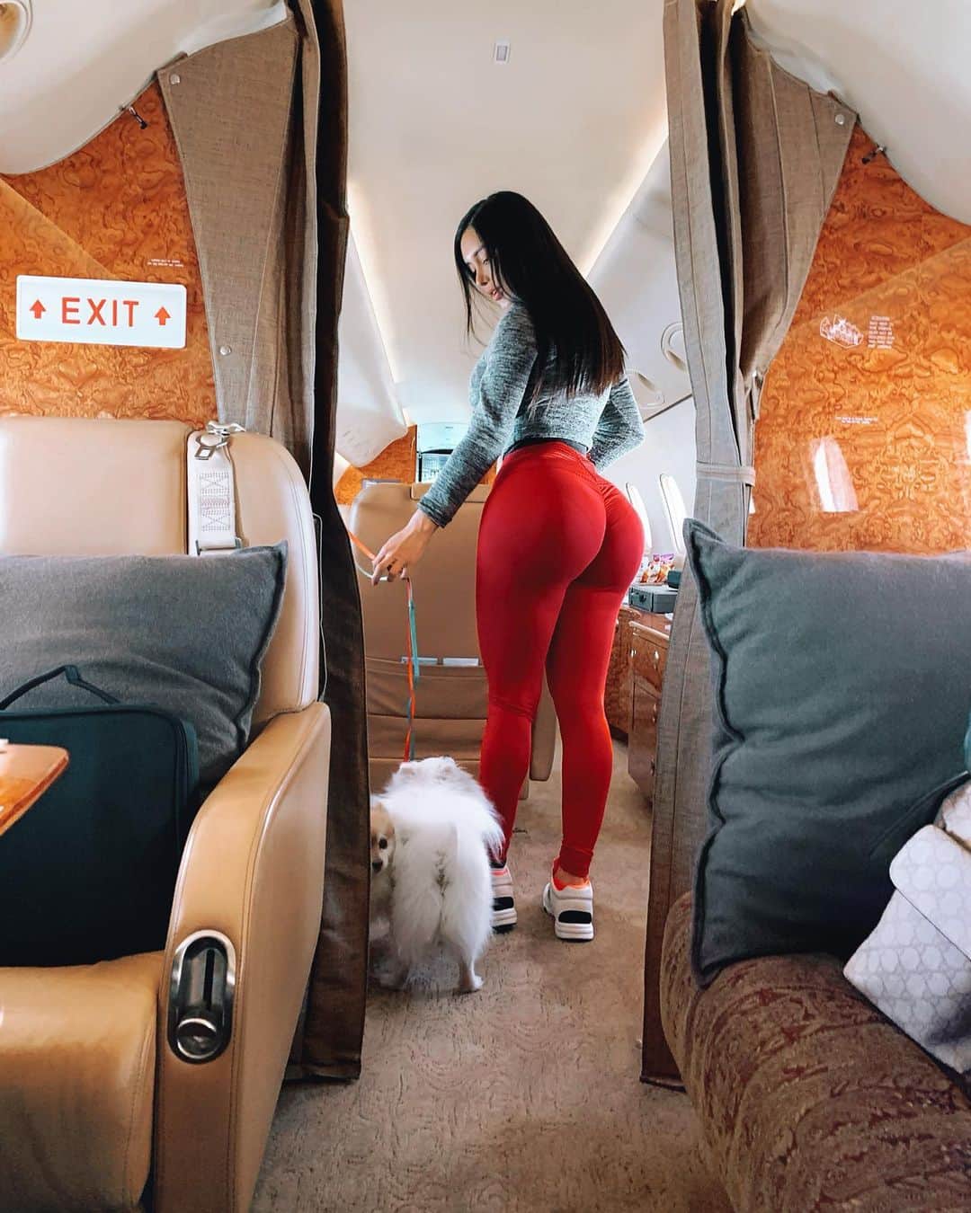 Joselyn Canoのインスタグラム：「The best travel buddies ❤️🐶🐶 @joselyncanomedia @joselyncanozone - Click Link in Bio 🙃」