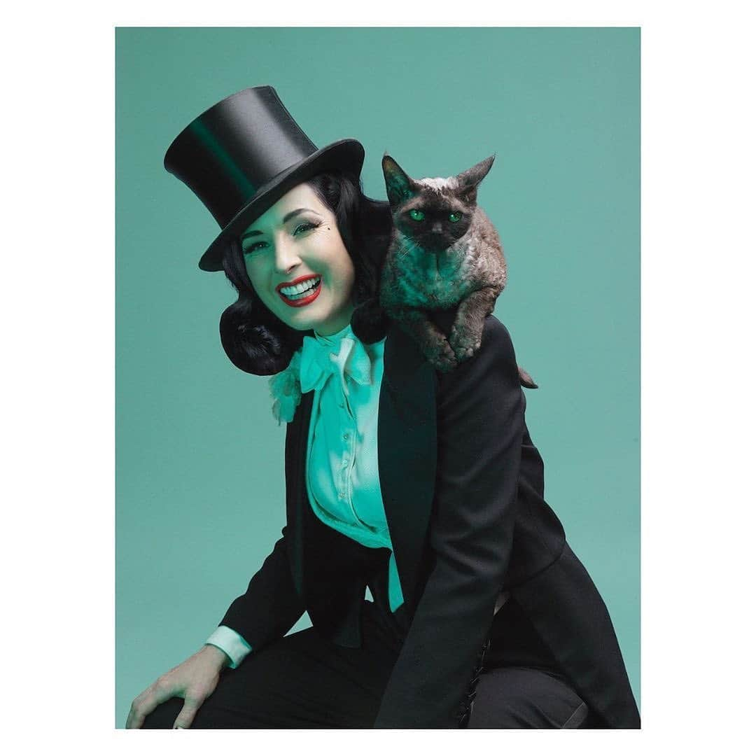 ディタ・フォン・ティースさんのインスタグラム写真 - (ディタ・フォン・ティースInstagram)「A magical cat! I used to ask @aleistervonteese all the time how one cat could bring so much joy. Thank you @franzszony for unearthing this photo.」5月28日 8時03分 - ditavonteese