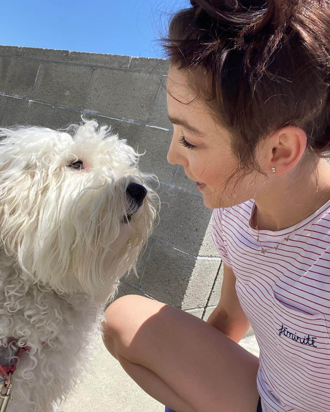 メリル・デイヴィスさんのインスタグラム写真 - (メリル・デイヴィスInstagram)「😇 Parking structure angel baby. I know I’m just a #dogmom but this experience over the last couple of months has me wondering how parents of actual humans are dealing with this shift in the day-to-day. Fedor and I have worked to ensure that Bilbo is getting exercise and fresh air while all of the parks are closed and we each embrace proper social distancing guidelines. Since we’re currently in a high rise in LA, that often means a little afternoon romp on top of our parking structure. Hope you’re all staying safe, feeling well, and finding moments of joy! (I took my mask off bc we were the only people playing up there) 🌆」5月28日 9時20分 - meryledavis