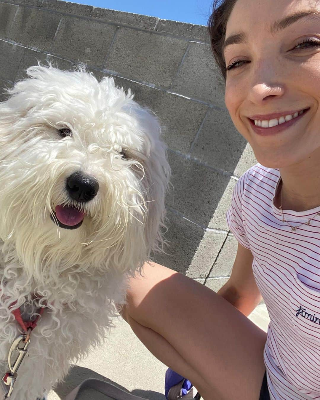 メリル・デイヴィスのインスタグラム：「😇 Parking structure angel baby. I know I’m just a #dogmom but this experience over the last couple of months has me wondering how parents of actual humans are dealing with this shift in the day-to-day. Fedor and I have worked to ensure that Bilbo is getting exercise and fresh air while all of the parks are closed and we each embrace proper social distancing guidelines. Since we’re currently in a high rise in LA, that often means a little afternoon romp on top of our parking structure. Hope you’re all staying safe, feeling well, and finding moments of joy! (I took my mask off bc we were the only people playing up there) 🌆」