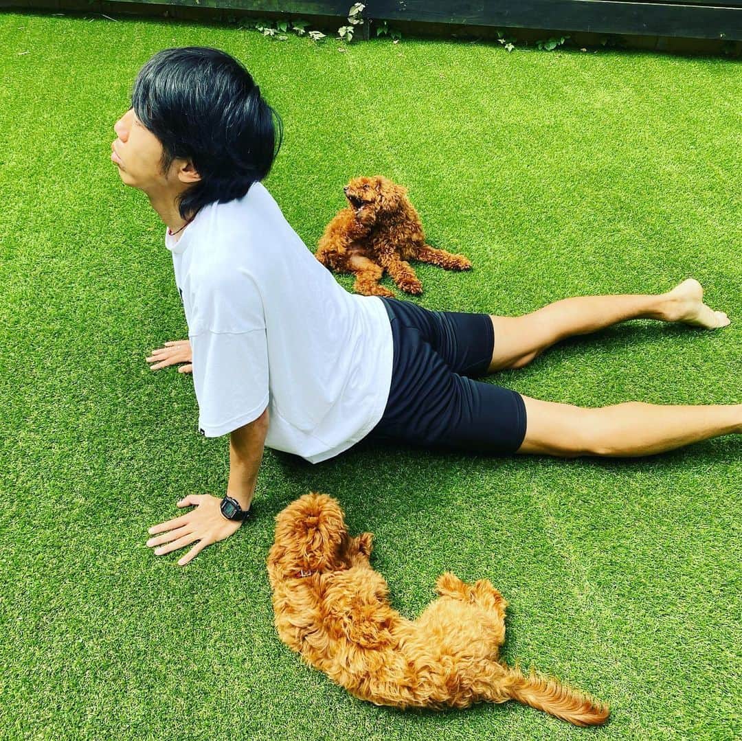 中村憲剛さんのインスタグラム写真 - (中村憲剛Instagram)「: ‪朝ヨガ🧘‍♂️‬﻿ 本当にオススメです。﻿ ﻿ ‪#ヨガ始めて2週間‬﻿ ‪#背中の軋みがすごい‬﻿ ‪#いかに背中が曲がっているか笑‬﻿ ‪#猫背解消してしまうかもしれない笑‬﻿ #それはないか苦笑﻿ #いかに至る所の固いところを見過ごしてきたか﻿ ‪#腰痛も良くなってる気がする‬﻿ ‪#体の隅々まで‬﻿ ‪#意識を行き渡らせるイメージ‬﻿ ‪#で集中してるから‬﻿ ‪#ジジ舐めないで‬﻿ ‪#求む膝に良いヨガ‬」5月28日 9時48分 - kengo19801031