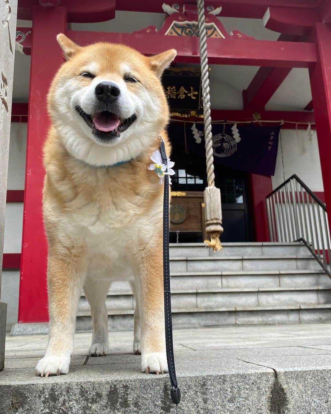 まる（まるたろう）のインスタグラム