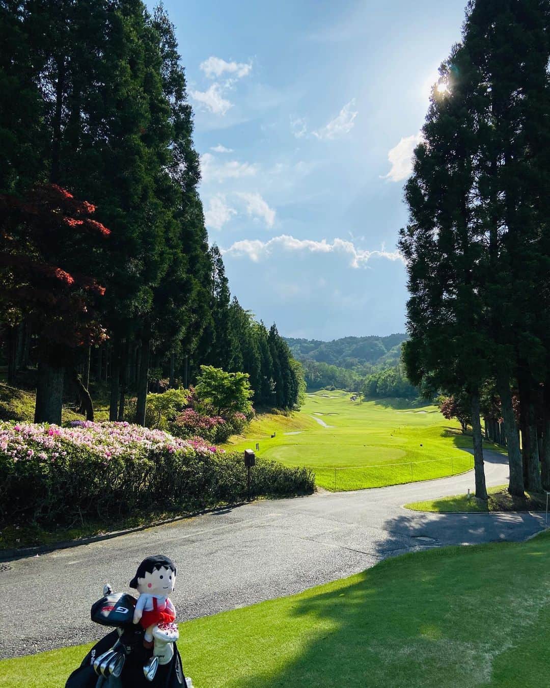 セキユウティンのグルメインスタ