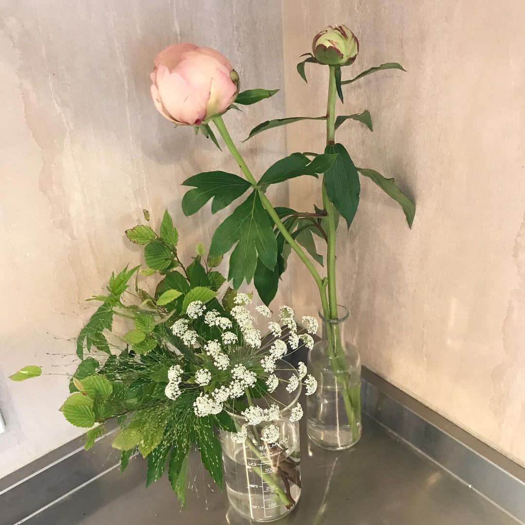 福田葉子さんのインスタグラム写真 - (福田葉子Instagram)「久しぶりのお花屋さんということで思わず爆買い…。この薔薇、紅茶の香りがするの！すごくいい匂いなの。蕾の芍薬は、群馬の黒岩シャクヤクでサーモンピンクのお花が咲くんだって。さすがお花屋さんやで！嬉しくて嬉しくてニコニコ眺めてます。 #flowers #rose #tearose #teafragrance #peony #お花　#青山フラワーマーケット #神保町　#駅ナカ　#薔薇　#紅茶の香り　#芍薬　#黒岩シャクヤク　#久しぶり　#花のある暮らし」5月28日 10時55分 - yoyoyokoko