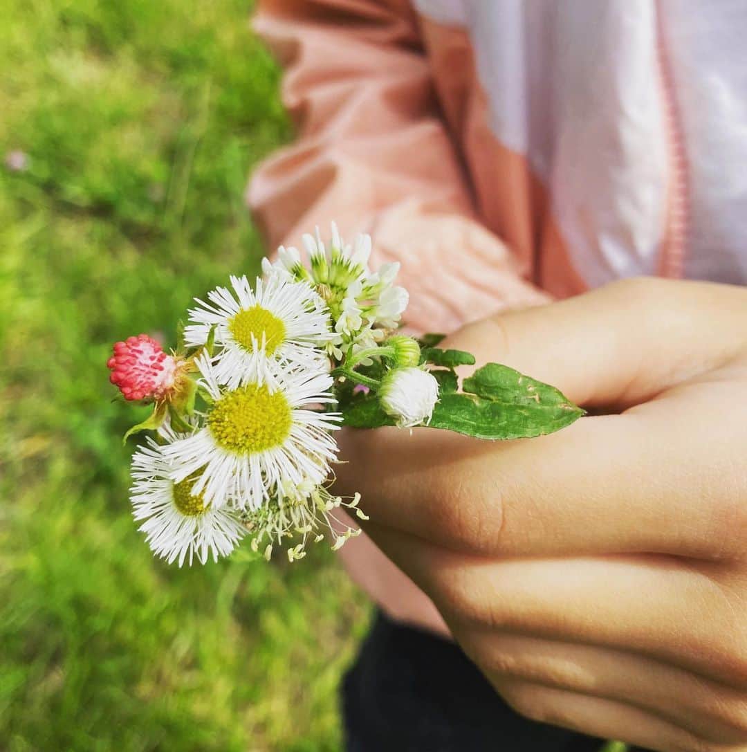 高岡早紀 さんのインスタグラム写真 - (高岡早紀 Instagram)「朝の散歩で娘が摘んでくれたお花たち。。 今日も穏やかな日をお過ごしください。」5月28日 10時58分 - saki_takaoka