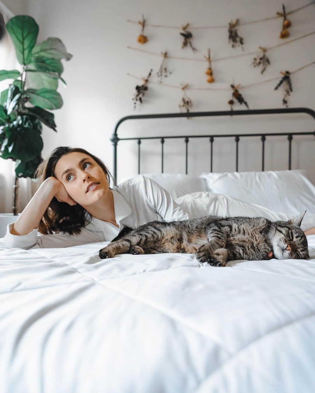キャサリン・マコーミックのインスタグラム：「@cozyearthbedding + I have partnered up and I am very excited to share this brand with you all! 🤍  All of their products are made from premium bamboo, non toxic, temperature regulating, and SUPER SOFT! Honestly, the most comfortable bedding and pajamas I have ever experienced. I’m in love with them and hope you enjoy them as much as I do!  Get 50% off with this Discount Code: KATHRYNFOR50 . . I promote products that I believe bring a level of awareness and consciousness to our everyday lives. I hope to share them in order to introduce you to quality products that are healthier for the environment and the body without harsh chemicals or toxins. Let’s support more companies like these! If you have tried @cozyearthbedding or decide to, let me know your thoughts. 😻 Gator obviously agrees.」