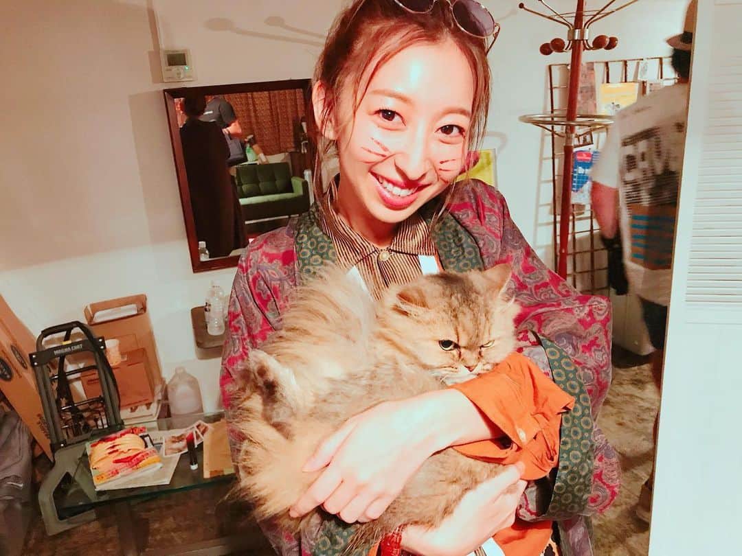 のインスタグラム：「探偵事務所シーンoff shot🕵️‍♀️ . 私が動物と戯れているシーンはレアです。笑 でもこのネコちゃんは貫禄があってもふもふしていて 可愛かったな🐈💕 . . #いつか世界が変わるまで #飯田里穂 #写真大胆整理」