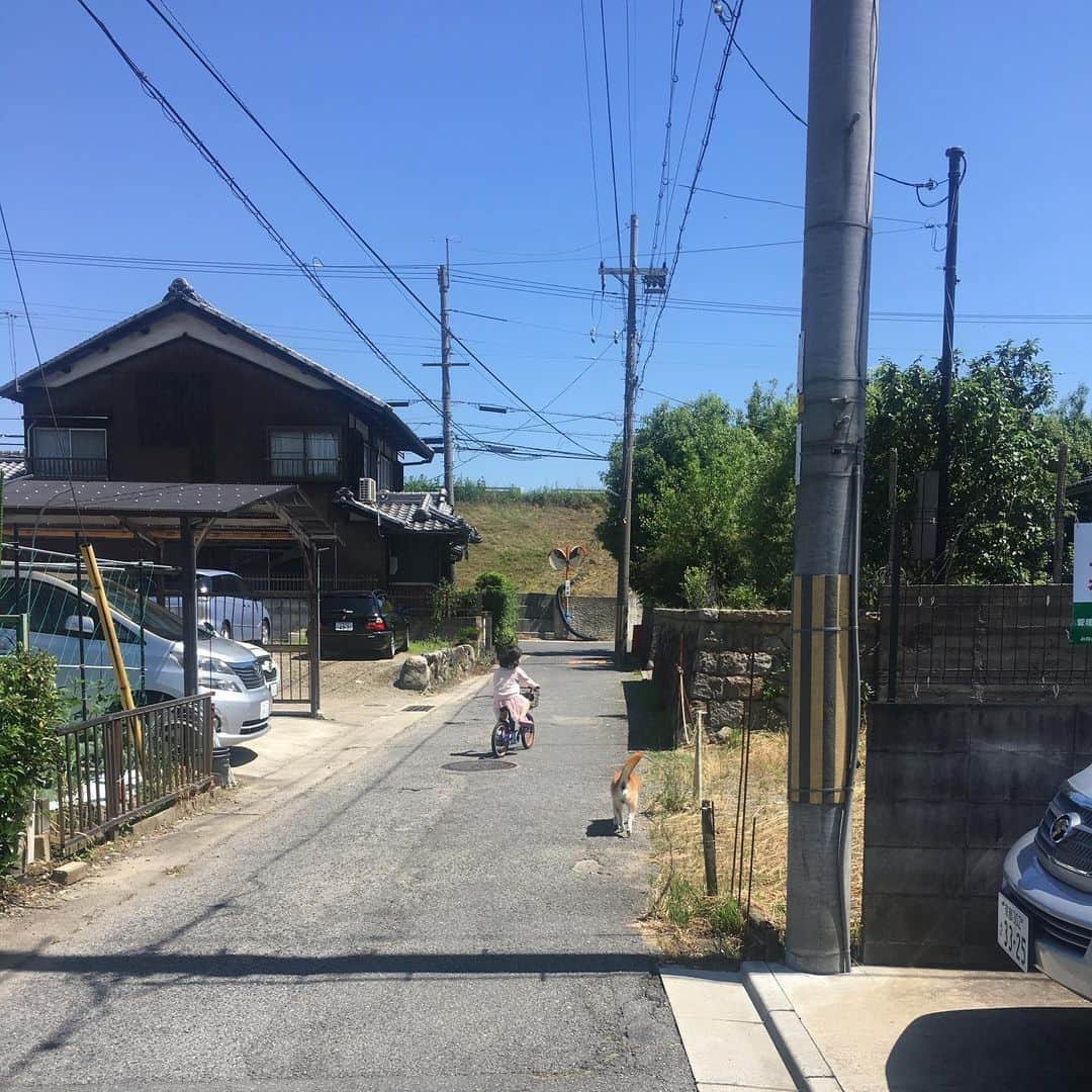 のインスタグラム