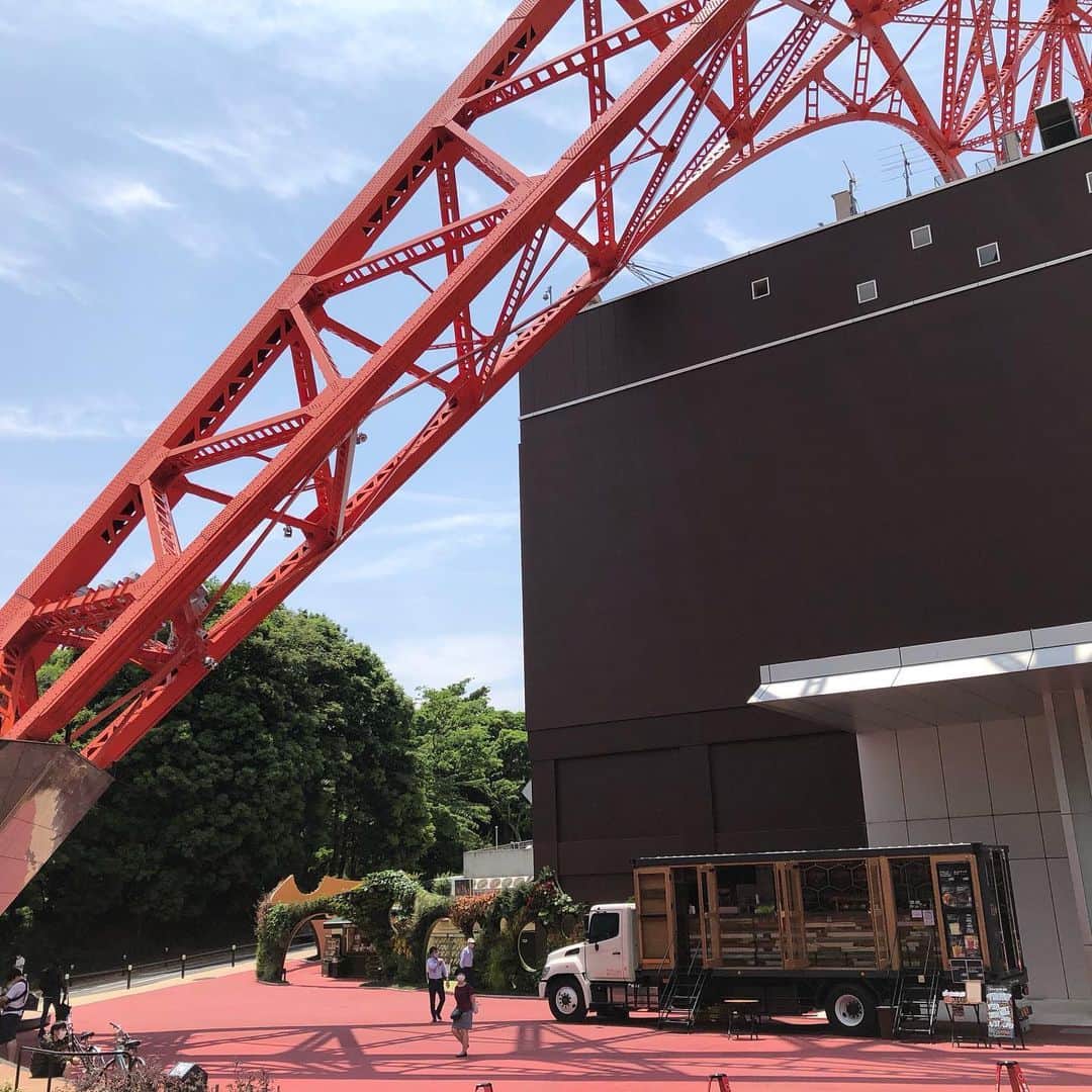 EL★CAMIONのインスタグラム：「本日より、東京タワー🗼展望台がオープン！！ 階段のみとなりますが、運動にはちょうど良さそうですよ！ EL CAMIONでは、人気のクラシックビーフカレーもご用意しています！是非、食べてみてください！  #elcamion #beertruck #tyharborbrewery #craftbeer #brewery #instabeer #beerstagram #beerporn #beergeek #beerlover #madeintokyo #tysonsandcompany #エルカミオン #ビアトラック #ティーワイハーバーブルワリー #クラフトビール #ブルワリー #インスタビール #ビアスタグラム #クラフトビア  #ビアラバー #天王洲アイル #メイドイントウキョウ #タイソンズアンドカンパニー #東京タワー #tokyotower #ビーフカレー #beefcurry」