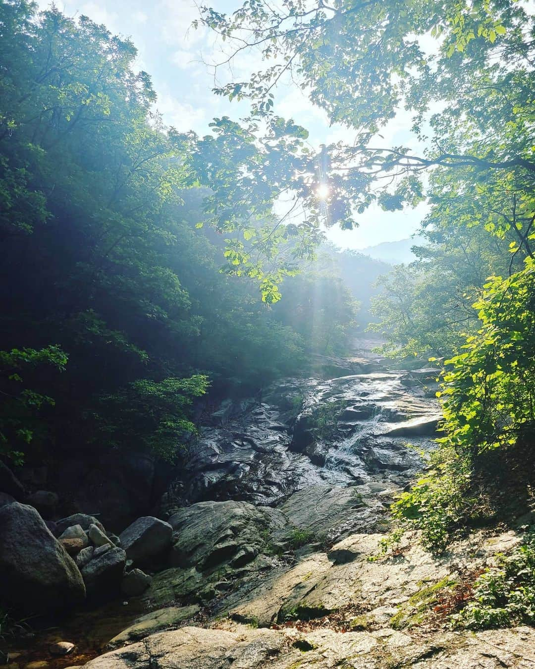 イ・シヨンさんのインスタグラム写真 - (イ・シヨンInstagram)「🌿」5月28日 11時31分 - leesiyoung38