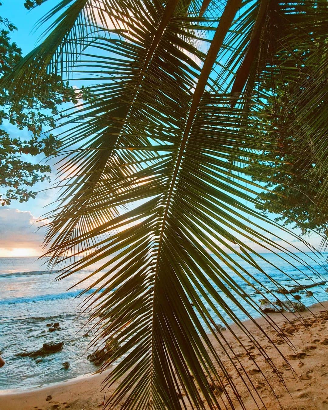 ユリサのインスタグラム：「Take me back...🌿 旅行に行けるようになったらどこに行きたいですか？·͜· ✈︎」