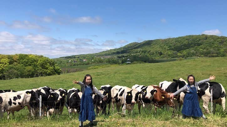 ◆miki◆さんのインスタグラム写真 - (◆miki◆Instagram)「* * The 北海道 🐃🐂🐄 * いやいや バックが牛過ぎるでしょw 指示してないのに 整列しとんの凄ないかw * #牛過ぎる #牛 #北海道 #The北海道 #ハイジ牧場 #ののなの #まさかのギャルポーズ #こちらも指示してない * *」5月28日 11時39分 - gold______star