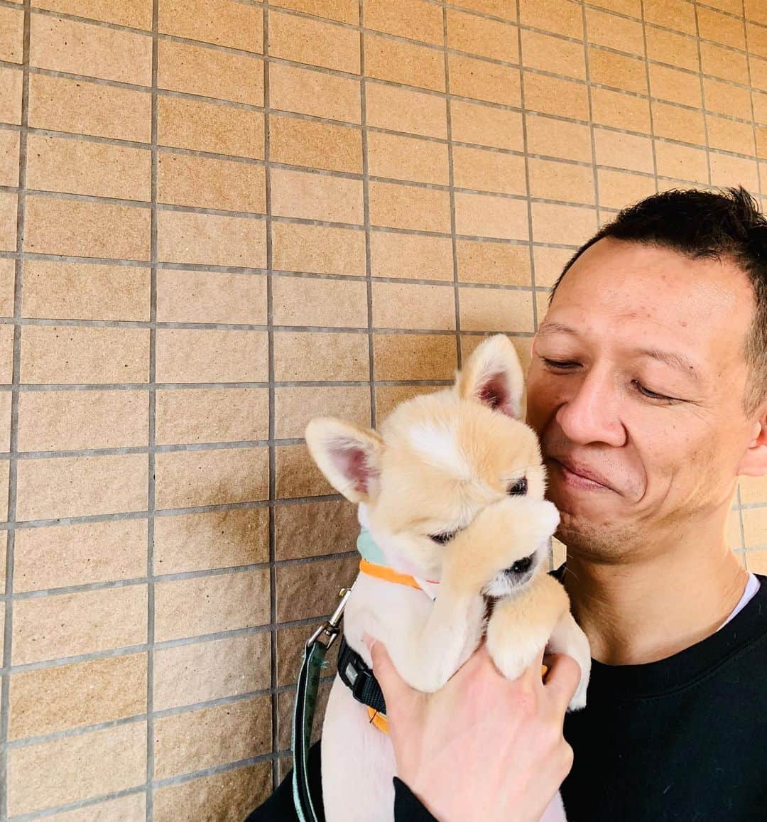 院長ヨモギダのインスタグラム：「2020.05.28 . .  緊急事態宣言中に、いち早く使って下さいと沢山のマスクをポストに入れていって下さったお客様 予約分をチケットで買いたいと言って下さったお客様 渋谷スポンジがお休みしたら困ると仰って下さったお客様 . .  嬉しくて夫婦で泣きました。 いっぱいのお気持ちが毎日の励みに。 本当にありがとうございました。 これからも感染拡大防止のための取り組みを充分に行いながら、 ホッと出来るちょっと楽しい場所で在りたいと想います。 よろしくお願い致します🙇‍♂️🙇‍♀️ . . .  渋谷スポンジでは 引き続き ご来院の全ての方に .  非接触型体温計による 「検温」と 「手指アルコール消毒」 のご協力をお願い致します。 . .  咳や発熱症状のある方、 海外渡航歴のある方は帰国後4週間はご遠慮頂いております。 予めご了承ください。 . .  当院はマンツーマン施術です。 他のお客様と一緒になる事はありません。 . .  施術者・スタッフの健康管理、手洗いうがい、手指アルコール消毒を徹底し、マスク・医療用手袋着用で施術をしております。 .  室内の常時換気、施術ベッドから共用部分まで、使用ごとにアルコール消毒を行っております。 平時より、使い捨ての鍼を使用しております。 . . ご不安な点などございましたら、お問い合わせ下さいます様よろしくお願い致します。 . . #渋谷スポンジ  #美容鍼 #鍼灸 #マッサージ  #痩身 #ヘッドスパ 東京都渋谷区松濤1-28-6 麻生ビル2F☏‭0367127598‬ 🌈ご予約はHP又はお電話で ‭www.shibuya-sponge.com‬ HPからブログもご覧下さい🐕 . . 🙊初回 全メニュー1000円OFF✨ 🙉1ヶ月以内リピート常時500円OFF✨ 🐵初回の方にプチギフト進呈🎁 . . .  #美容鍼灸 #小顔 #美肌 #シミ #くすみ #腰痛 #肩こり #むくみ #乾燥肌 #肌荒れ  #たるみ #アンチエイジング  #リフトアップ #ツヤ肌 #毛穴 #偏頭痛  #眼精疲労 #乾燥肌 #骨盤調整 #筋膜リリース #姿勢改善 #猫背 #巻き肩」
