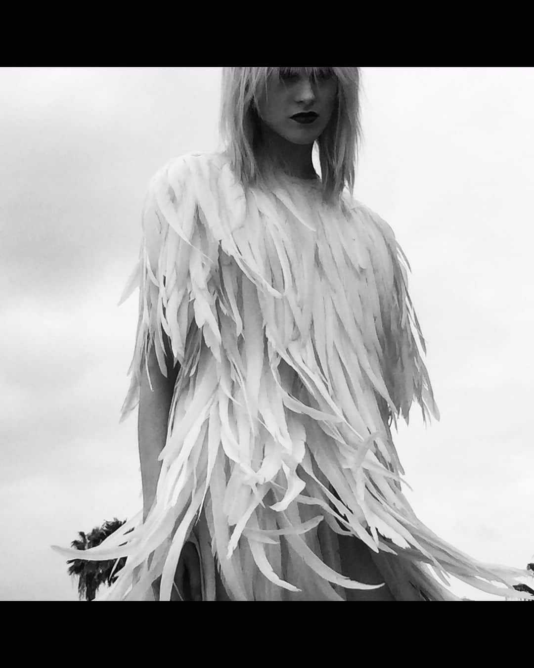 コスチュームナショナルのインスタグラム