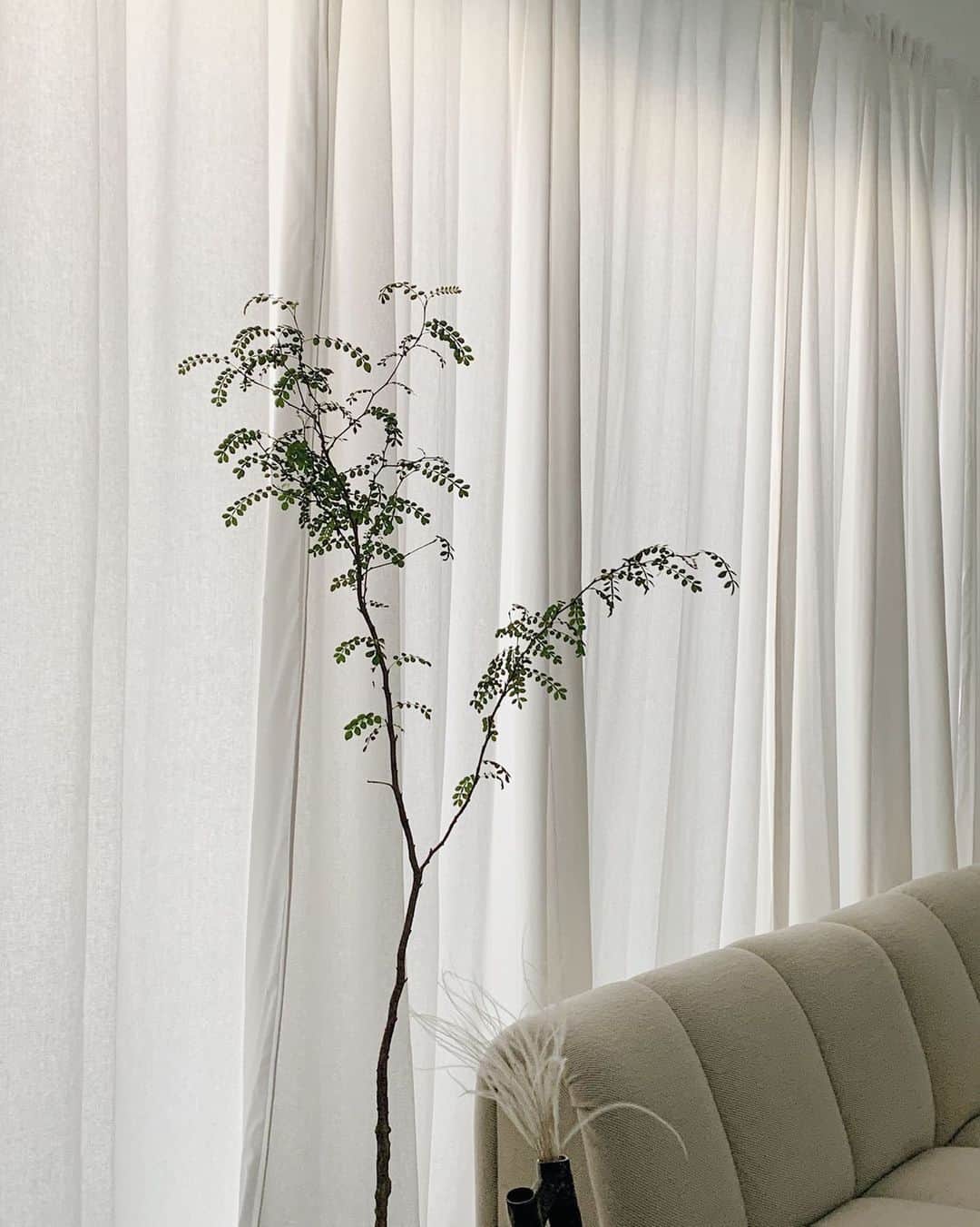 Club Monacoのインスタグラム：「Welcome to the home of Los Angeles-based digital influencer, content creator, and interior design consultant, @amee.kim. It's where she's been finding endless inspiration in simple pleasures. ⠀⠀⠀⠀⠀⠀⠀⠀⠀ "My home is my haven. It brings me peace and inspires me every day." #CMSimplePleasures」