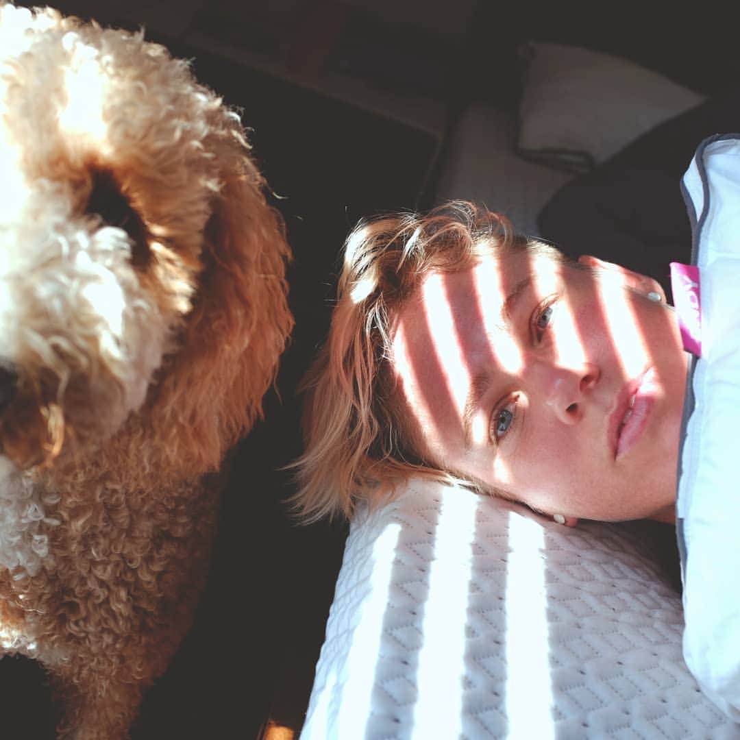 のインスタグラム：「So comfortable that even morning people like me have a hard time getting out of bed! 🛏️ Leia comes over constantly to see why she has to wait for breakfast.  @Endy #EndyPartner #Ad」