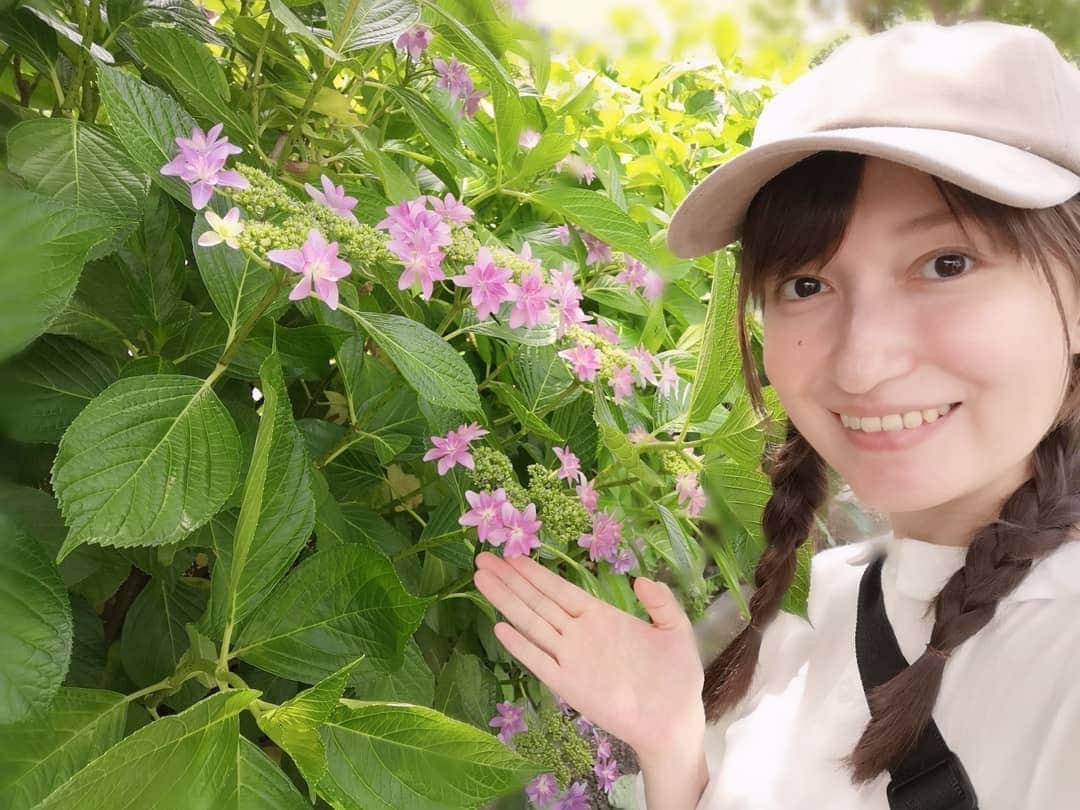白井珠希のインスタグラム：「* * 今日はお天気も良いし、体調もまずまずだったので、重たい身体を奮い立たせて少しお散歩。 そしたら、とっても可愛い紫陽花に出会えてテンションあがってしまった💜 次は絶対カメラをもって行くぞー！ * 紫陽花は本当に色んな種類や色んな色があって大好き。 カメラを持ってのんびりお花を撮れるのも今のうちだ📷✨ (マスクは写真を撮る時だけ外しました) * * #instaflower #flowerstagram #hydrangea #flower #instagramjapan #japan_of_insta #jp_gallery  #紫陽花 #はなまっぷ #花 #妊娠 #妊娠後期 #マタニティ生活 #マタニティ #プレママ #マタニティコーデ #あじさい」