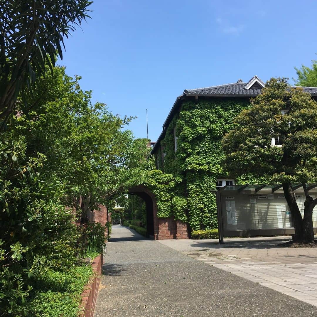 立教大学さんのインスタグラム写真 - (立教大学Instagram)「#rikkyouniversity #ikebukuro #池袋キャンパス #立教 #立教大学 #coregraphy #photography #ファインダー越しの私の世界」5月28日 14時43分 - rikkyouniv