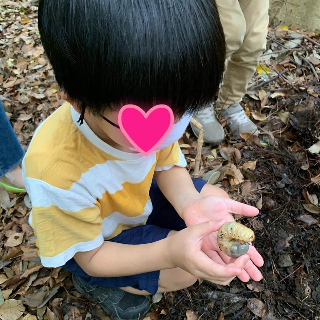 飯田圭織さんのインスタグラム写真 - (飯田圭織Instagram)「念願のカブトムシの幼虫を探しに公園へ✨ 元気に探す子供達の元にカブトムシに詳しいおじさんが穴場を教えてくれてたくさんのカブトムシの幼虫を発見‼️ 子供達大喜びで、本来の子供達の姿が見られてとても嬉しかったです😊✨ 虫の苦手な方、、写真大丈夫かな❓ #念願の  #カブトムシ  #幼虫  #幼虫飼育 始めます #大はしゃぎ  #よかったね  #虫にがてな人ごめんね🙏」5月28日 14時57分 - iidakaori.official