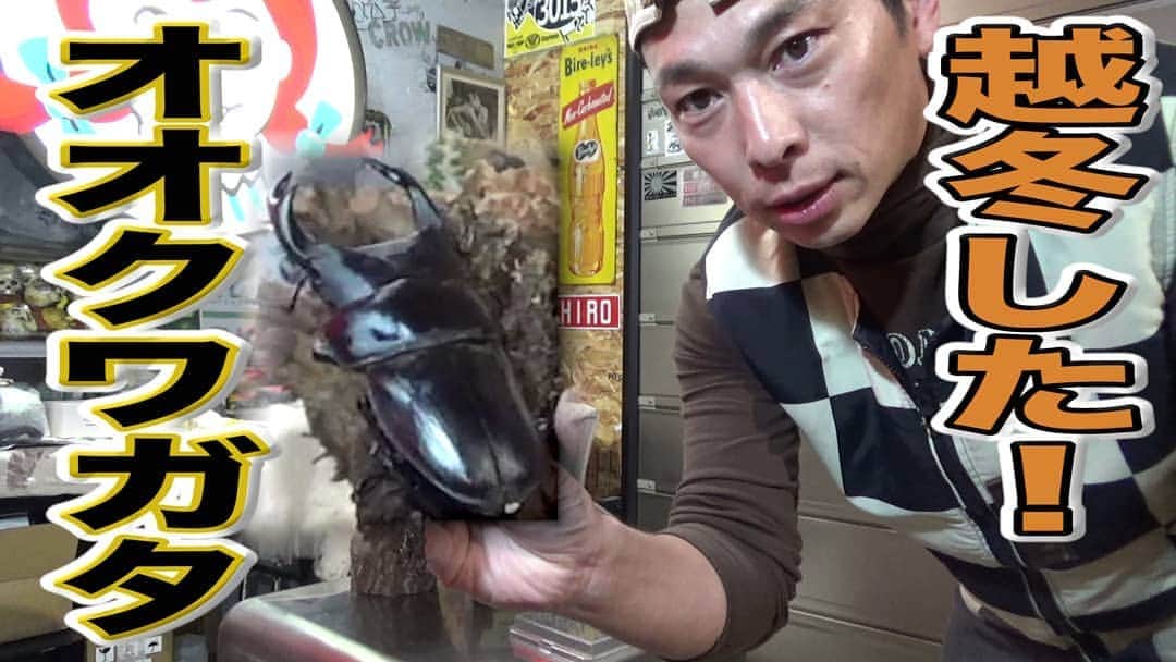 世田谷ベースのインスタグラム