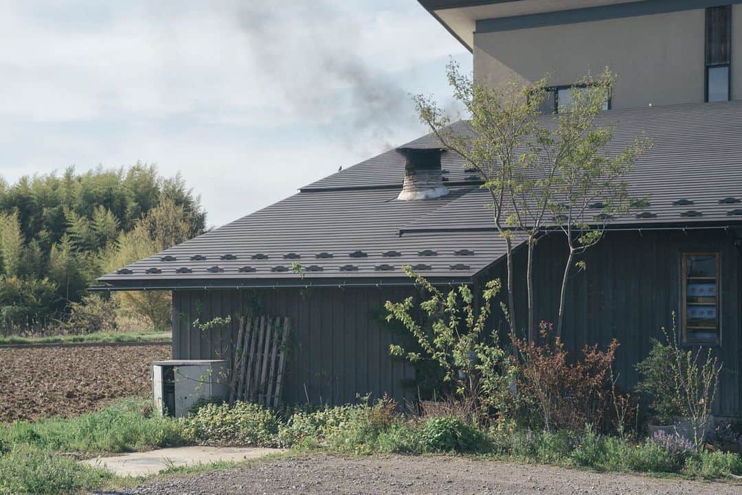 ヒラハルのグルメインスタ