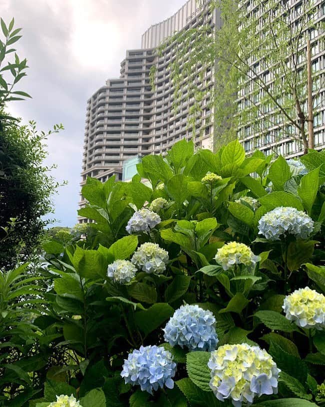 Palace Hotel Tokyo / パレスホテル東京のインスタグラム