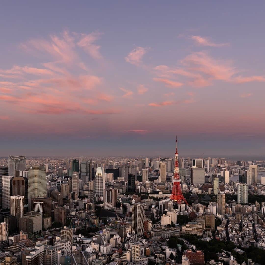 Tokyo City View 六本木ヒルズ展望台のインスタグラム：「📸六本木ヒルズ展望台 東京シティビューから、絶景画像をお届け中！  柔らかそうなピンクの雲が空に散らばっていた、ある10月の東京の景色。冷たい風がそっと頬に触れ秋の気配を感じるような、そんな光景が目に浮かびます。😌 #東京シティビュー #tokyocityview #休館中の展望台 #SNSで楽しむ展望台 #荒谷良一 #東京タワー」