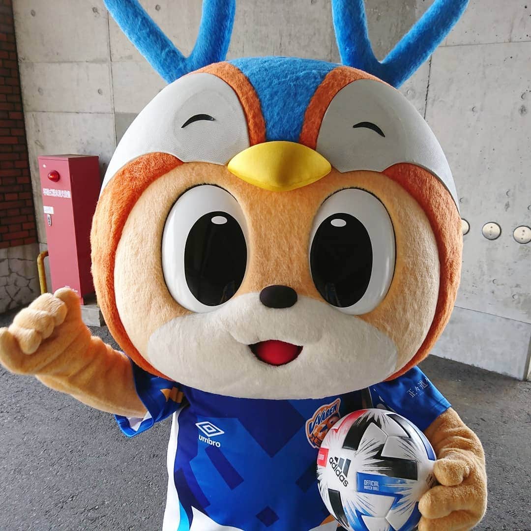 ヴィヴィくんのインスタグラム