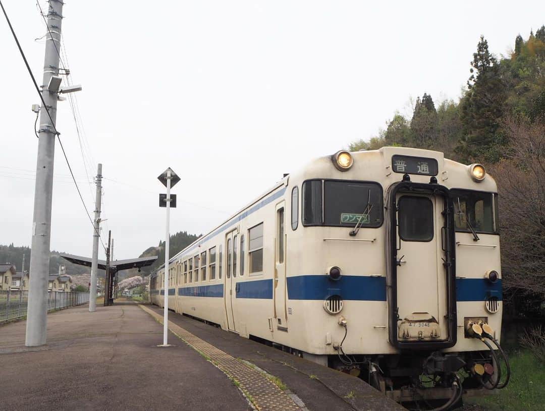 伊藤桃さんのインスタグラム写真 - (伊藤桃Instagram)「【#肥薩線 】#肥薩線の旅´`* 今回は自分の写真多め。笑 大好きな#キハ40 の乗車写真·····あと、何度乗ることが出来るのかなって😢 ゆっくりとかみ締めながらのっていたのでした。 🚞 2.3.4枚目: いさぶろうしんぺいを降り、吉松駅からは#キハ40系 に乗り換えです♡ 5枚目: わたし。笑 次の目的地は、2駅先の大隅横川駅。 わずか19分の短い旅ですが····· 春のそよ風を感じつつごとごとと。 🚞 6枚目: 遠くには山々が····· 7枚目: お隣、栗野駅まではのどかな盆地がつづきます。 8枚目: 栗野駅は桜並木がとても綺麗でした🌸 実はこの日の昼ごはんはまだ。 この写真にちらりとうつっているのだけど、駅前にはコーヒーやさんが。 名水の湧き水で有名な栗野、そのコーヒーがのめる·····だった気がする。笑 今調べたらご飯やさんたくさんあったので降りればよかったー！ 9枚目: そして、お隣駅。 大隅横川駅にとーちゃく！(❁´ω`❁) というわけで、明日は大隅横川駅レポ♡ 10枚目: おまけのわたし。笑 ＊ ✂︎--------㋖㋷㋣㋷線---------✂︎ 人吉駅10:09-11:21真幸駅12:00-12:46大畑駅13:35-14:33吉松駅14:36-(いまここ🚃💨)14:55大隅横川駅16:09-16:25嘉例川駅 ＊ ✂ーーーーーーーーーーーーーーーーーーーーーーーーーーーーーー✂ 5/31 15:00~16:30に木村裕子さんとオンライン鉄道トークショーを行います！ お申し込みはこちらから→ http://bookandbeer.com/event/20200531a/ 2人で選んだ自粛中鉄道ニュース、おうちで楽しめるお取り寄せグッズや、自粛後どこにいきたいかとか、 視聴者のコメントから条件を作って即席妄想2人旅行程などたのしそうううすぎます！ 見てくださった方とのクロストークタイムもたっぷりです。 木村裕子さんのお話もとても楽しくて今から楽しみ♡ 宜しくお願いします！」5月28日 18時10分 - itomomo_tetsu
