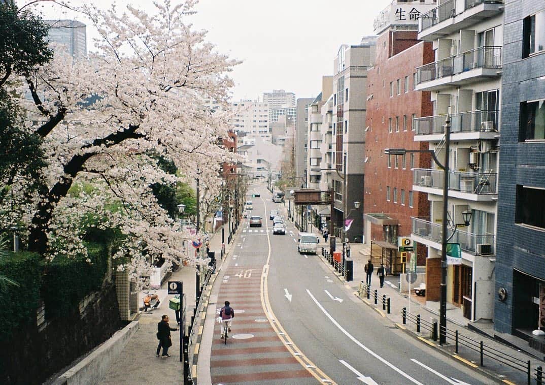 Masha Alexeevaさんのインスタグラム写真 - (Masha AlexeevaInstagram)「Tokyo mood 💔💔💔 #film #tokyo」5月28日 18時27分 - marualeks