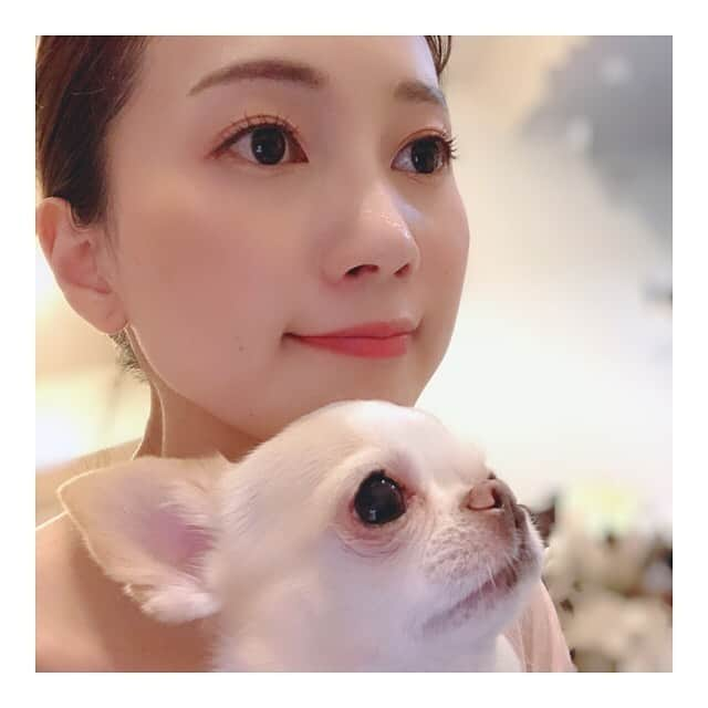 夢咲ねね（赤根那奈）さんのインスタグラム写真 - (夢咲ねね（赤根那奈）Instagram)「. 《お知らせ》です。 .(2枚目以降詳細です→→) ・  今回、同期のあんじ企画をしてくれまして、沢山の素敵な方々とこの作品をご一緒させていただきます。 脚本を三木章雄先生に書いていただきとてもハートフルなストーリーとなっております。 私は、第1回、第2回、第6回に出演させていただきます。 記念すべき第1話目は、 私が下級生時代お稽古場で本公演で憧れに憧れていた、 瀬奈じゅんサマ、みほこさん、霧サマと、、 共に戦ったとっちゃん とまた再びご一緒する事ができ、嬉しくて、凄く幸せでした😌❤️❤️ 第2話は、我89期生です❤️❤️ 89期らしい個性爆発な回となっております🤩 第6話は、霧サマとご一緒です❤️ 個人的に大坂侍思い出しちゃいます🤭❣️ . 第1話・・6月1日21時配信予定 第2話・・6月8日21時配信予定 第3話・・7月6日21時配信予定 .  配信が楽しみです。 皆様、是非ご覧下さい。 . . 「カタリジェンヌ」は、新型コロナウイルス感染症の感染拡大により様々な制約の中での生活が続き、心身ともに疲れを感じている社会の皆さまへ元気と癒しを届ける「心の薬」となることを目的に、中外製薬株式会社様と一般社団法人Huuug（ハーグ）の共同で企画したプロジェクトです。 脚本は宝塚歌劇団の演出家 三木 章雄氏が手掛け、また音声によるボイスドラマに様々なアーティストによる背景画が入った作品です。尚、この作品はリモートで制作しております。 「カタリジェンヌ」では、視聴者から任意の寄付金を募らせて頂き、集まった寄付金はNPO法人 全国こども食堂支援センター・むすびえ様に全額寄付させて頂きます。 詳しくはYouTube概要欄をご覧ください。  中外製薬様プレスリリースURL： https://www.chugai-pharm.co.jp/news/detail/20200528150000_982.html 一般社団法人HuuugカタリジェンヌURL: https://huuug.jp/katari.html  公開場所：YouTube中外製薬公式チャンネル https://www.youtube.com/user/chugaijp  脚本演出：三木 章雄先生（宝塚歌劇団） 制作：妃乃 あんじ(一般社団法人Huuug/元宝塚歌劇団月組) . #カタリジェンヌ #YouTube配信 #幸福な王子 #セロ弾きのゴーシュ #ベニスの商人 #リモートリーディング #ボイスドラマ」5月28日 18時42分 - yumesaki__nene