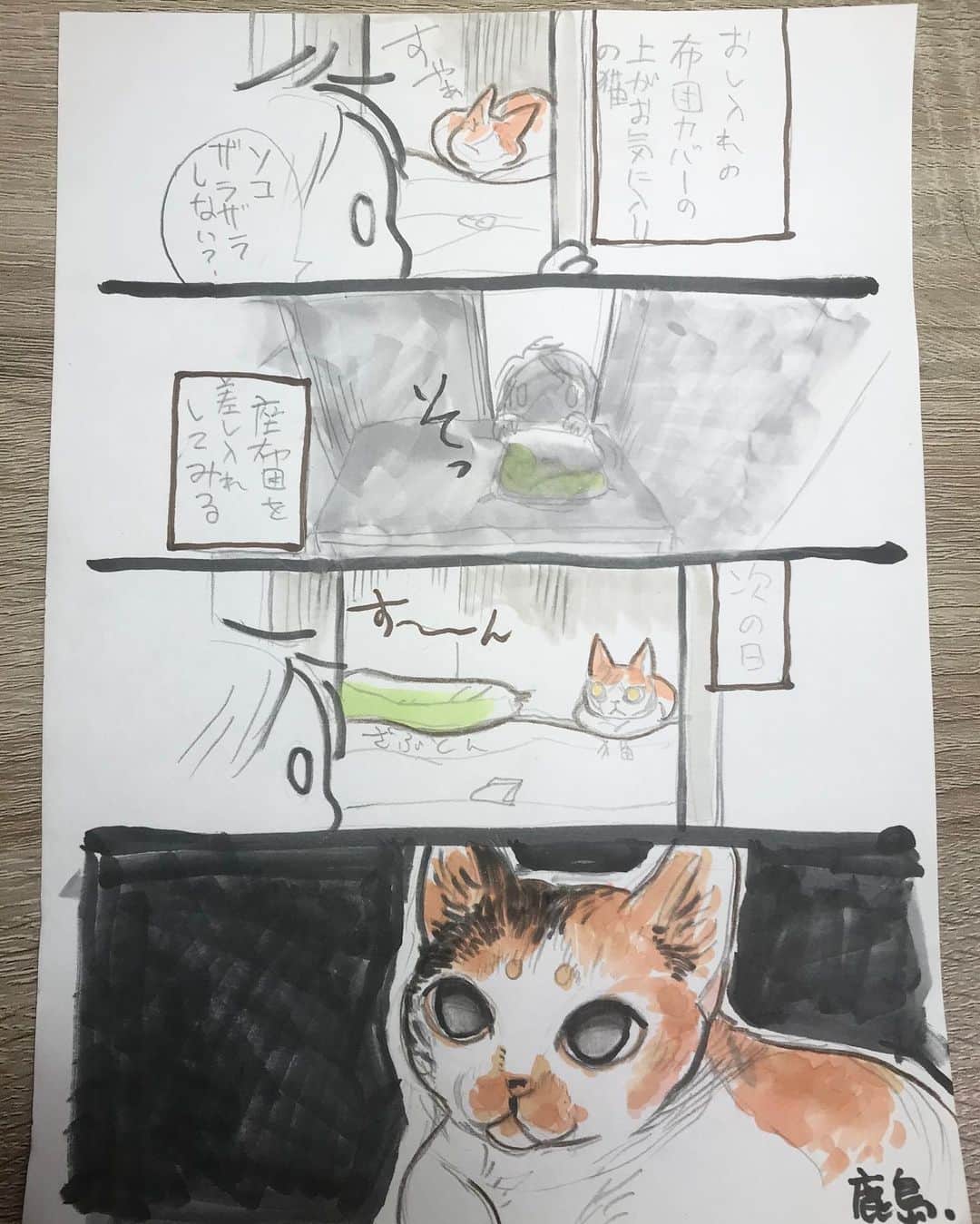 鹿島麻耶さんのインスタグラム写真 - (鹿島麻耶Instagram)「猫漫画」5月28日 18時58分 - kashimamaya