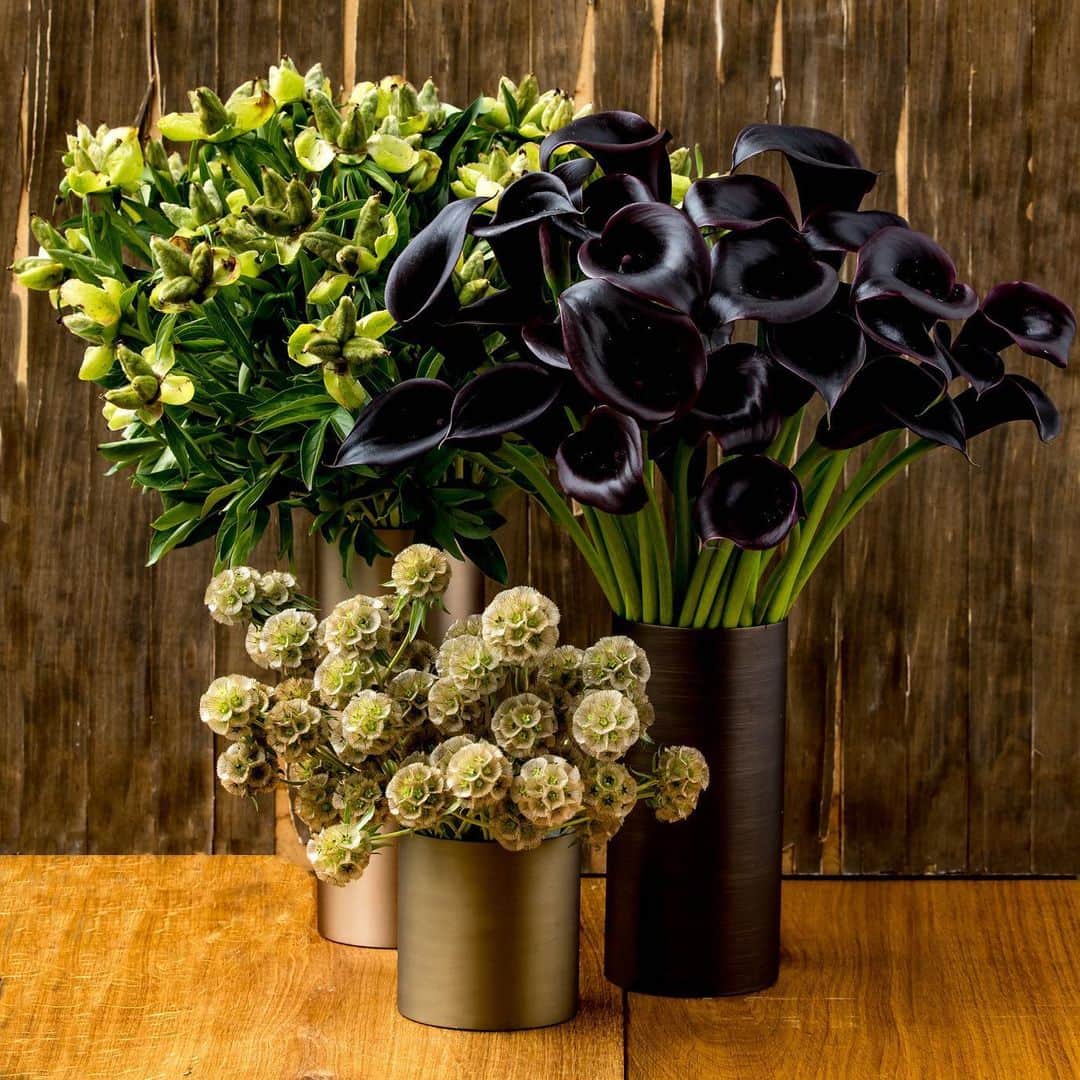 ニコライ・バーグマン・フラワーズ＆デザインさんのインスタグラム写真 - (ニコライ・バーグマン・フラワーズ＆デザインInstagram)「Peony seed pots, Black Calla & Scabiosa seed pots. #nicolaibergmann #flowerartist #ニコライバーグマン」5月28日 19時05分 - nicolaibergmann