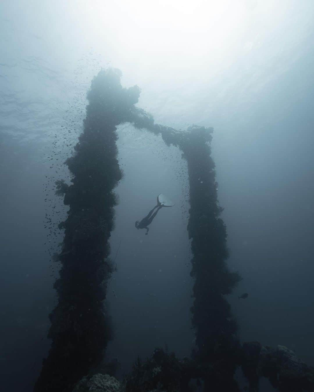 篠宮龍三のインスタグラム：「Fujikawa maru | Chuuk 2015  #chuuk #truk #jeep #micronesia  #a7s2 #sony #sel1635z #zeiss #Nauticamhousings  #freediving #freediver #freedive #apnea  #wreck #wreckdiving  #wreckdiver  #Fujikawamaru #富士川丸」