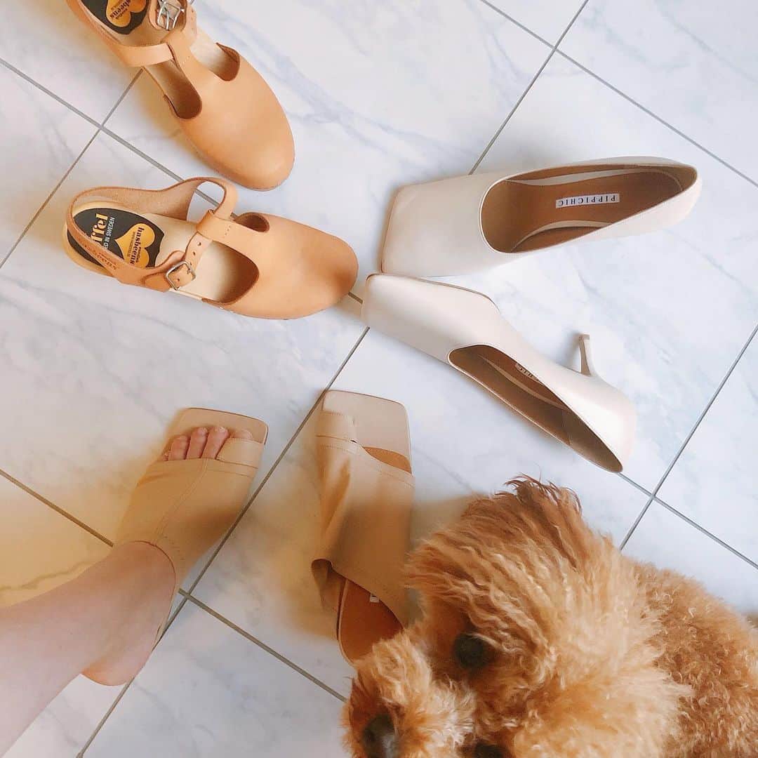 カオルコさんのインスタグラム写真 - (カオルコInstagram)「最近はベージュな気分。  #fashion #beige #shoes #pippichic #doglover #足元 #靴 #toypoodle #mystyle #lifestyle #リーズナブル #ママー #🐶 #だからねお家でもずっと後追い #愛おしすぎる #kくん #♥️」5月28日 19時14分 - ka_ruk_