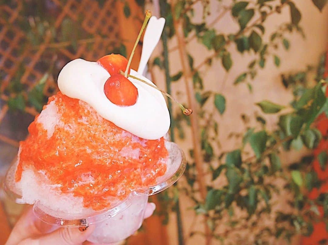 村崎英絵のグルメインスタ